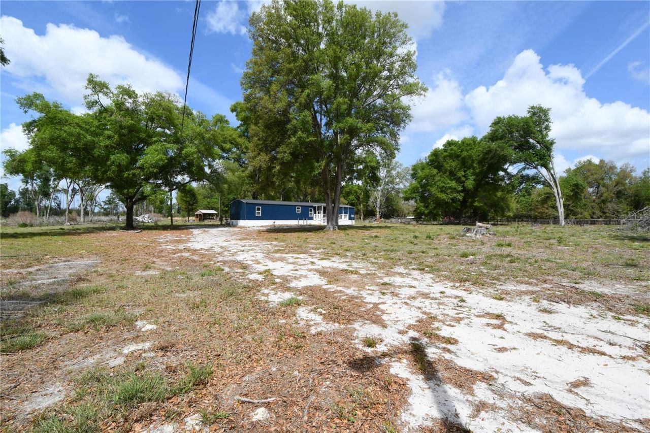 7457 NE Highway 349, Old Town, FL 32680 Photo