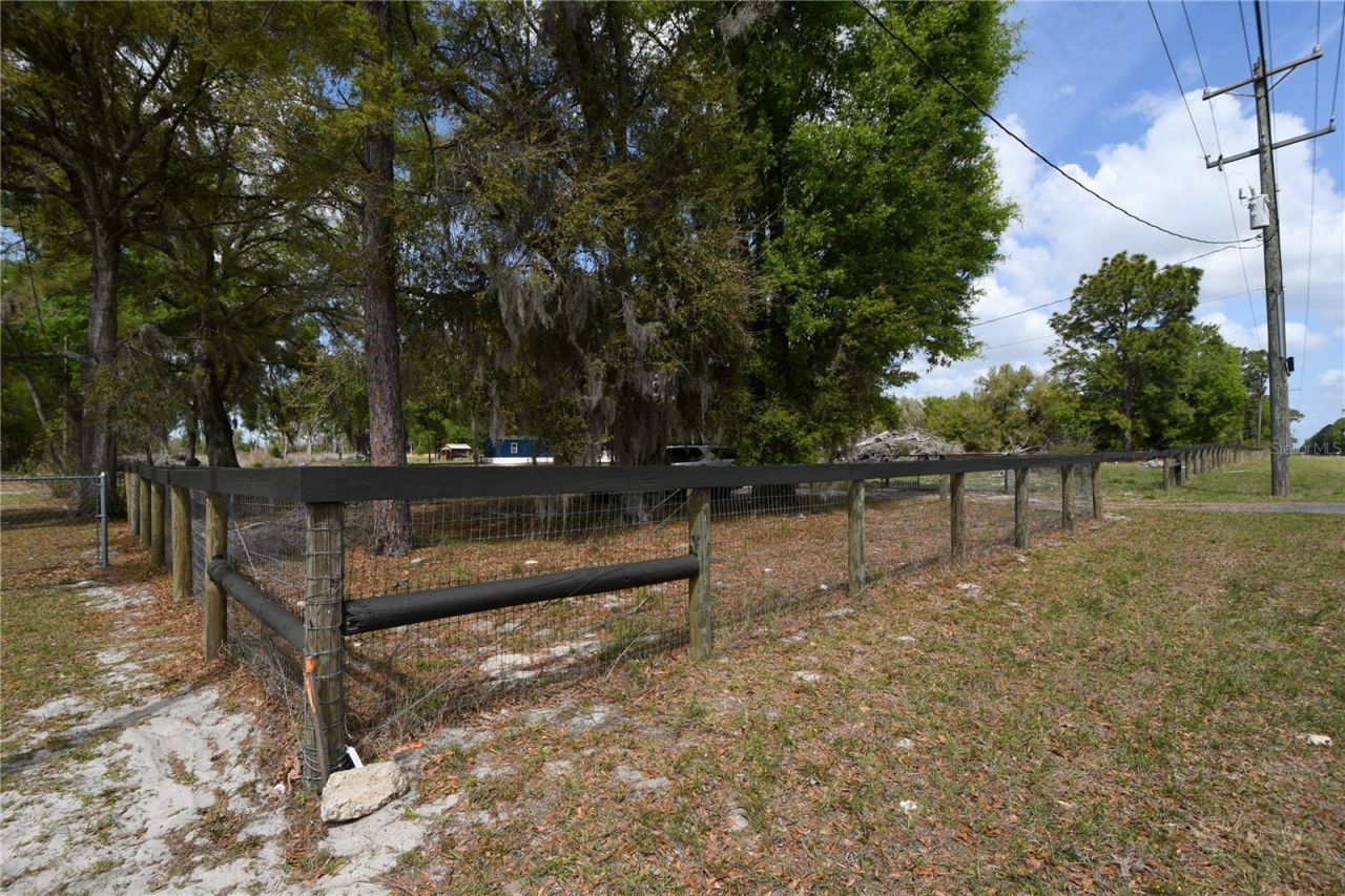 7457 NE Highway 349, Old Town, FL 32680 Photo