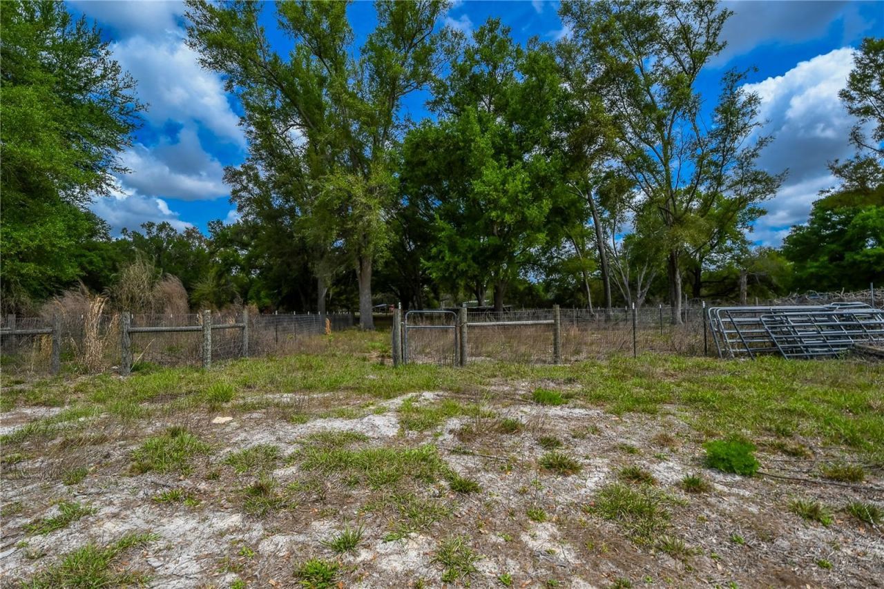 7457 NE Highway 349, Old Town, FL 32680 Photo