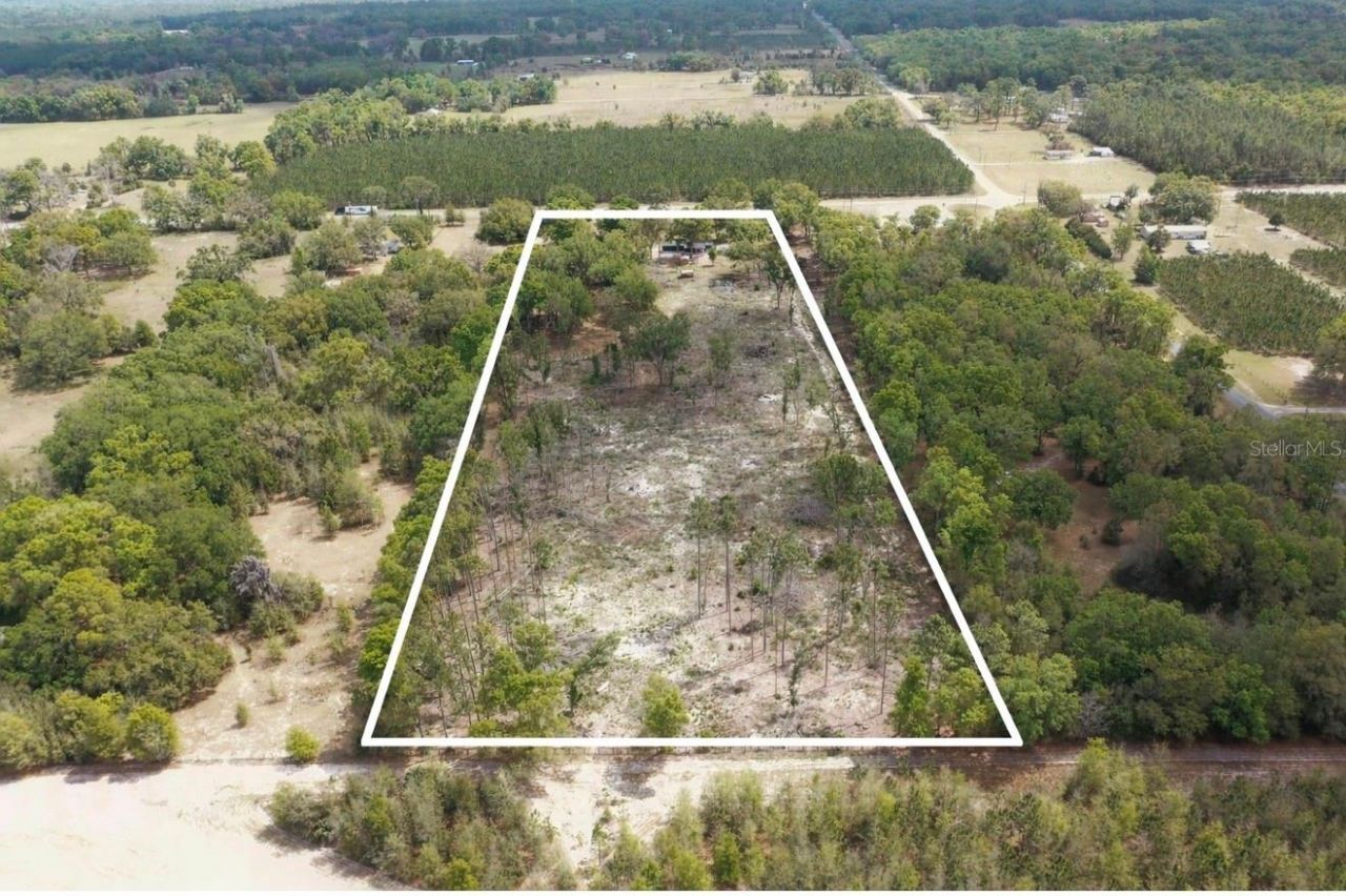 7457 NE Highway 349, Old Town, FL 32680 Photo