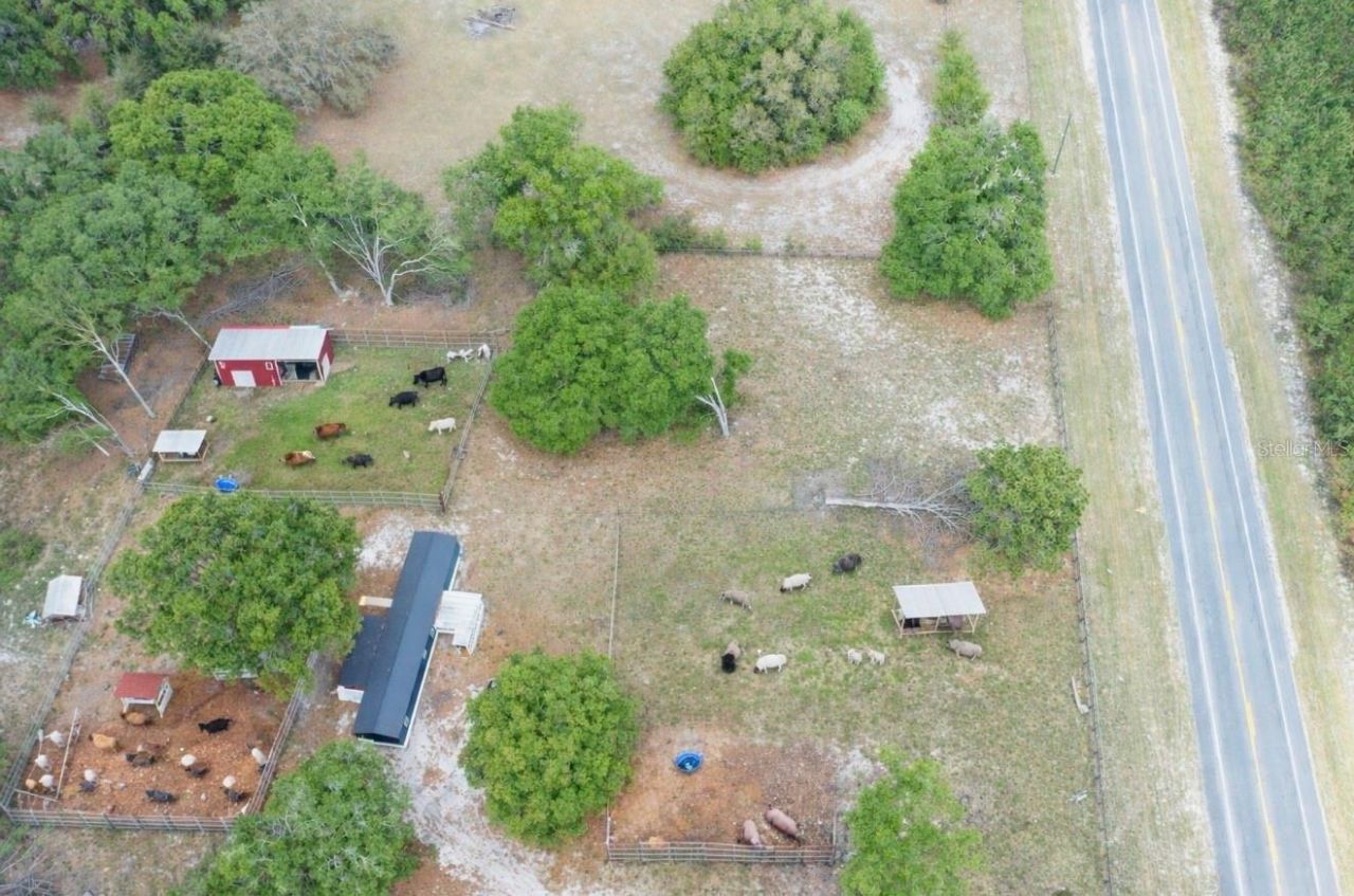 7457 NE Highway 349, Old Town, FL 32680 Photo