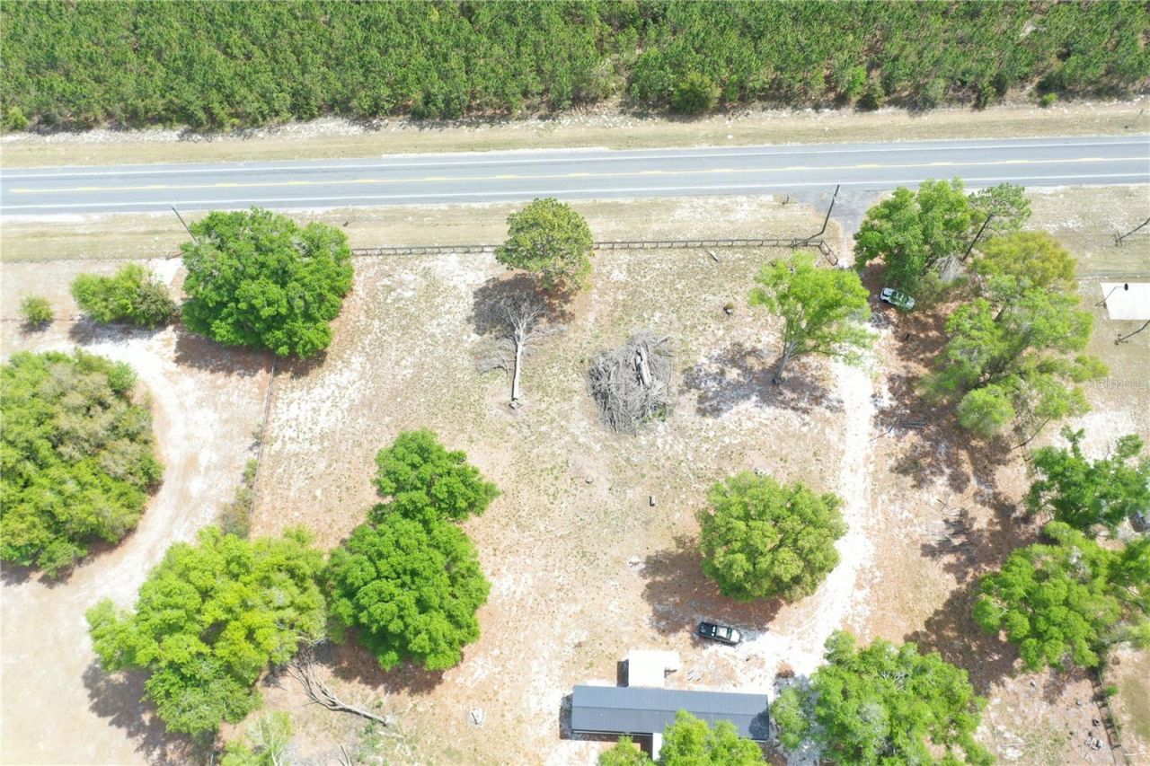 7457 NE Highway 349, Old Town, FL 32680 Photo