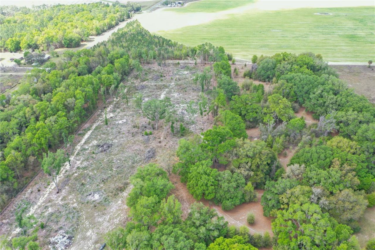 7457 NE Highway 349, Old Town, FL 32680 Photo