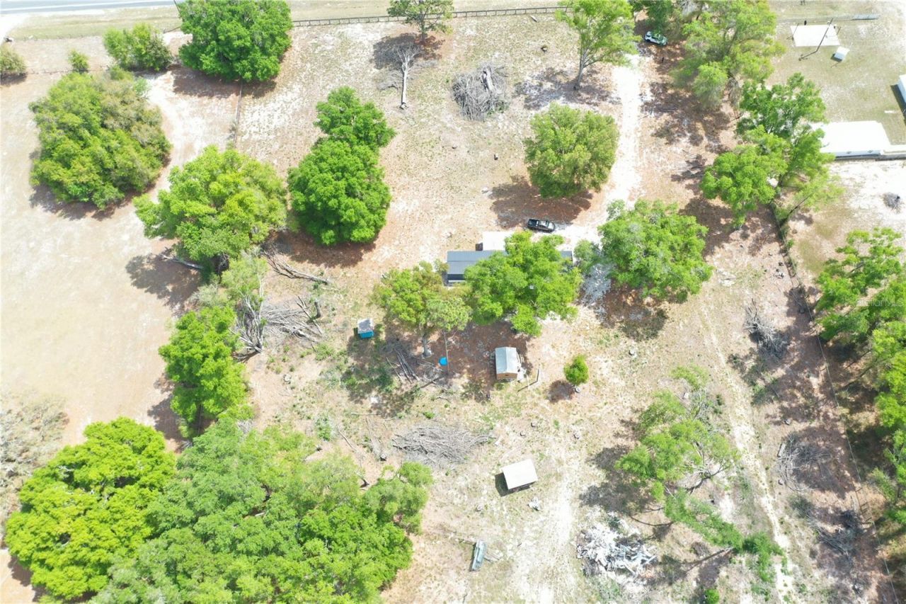 7457 NE Highway 349, Old Town, FL 32680 Photo