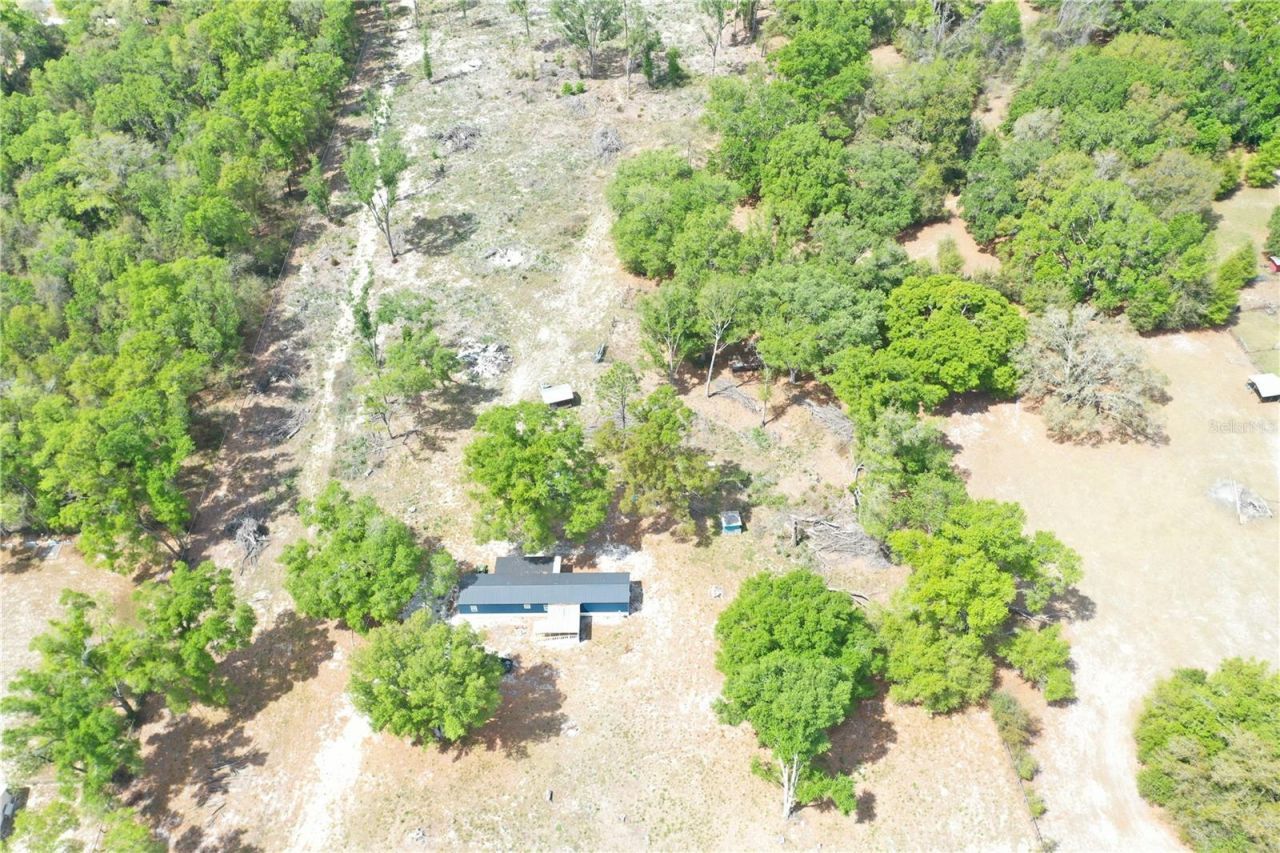 7457 NE Highway 349, Old Town, FL 32680 Photo