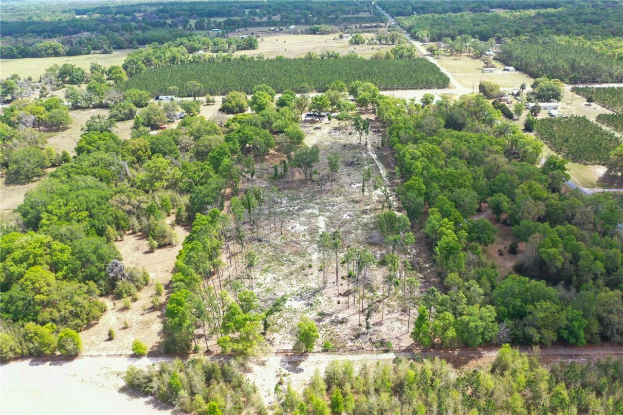 7457 NE Highway 349, Old Town, FL 32680 Photo