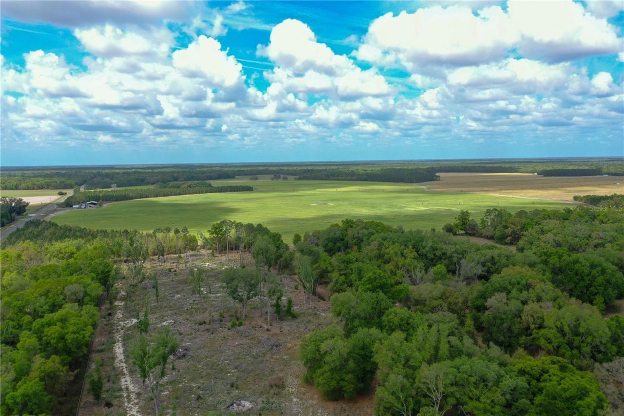 7457 NE Highway 349, Old Town, FL 32680 Photo