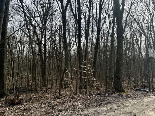 V/L Sycamore Street, Grand Junction, MI 49056