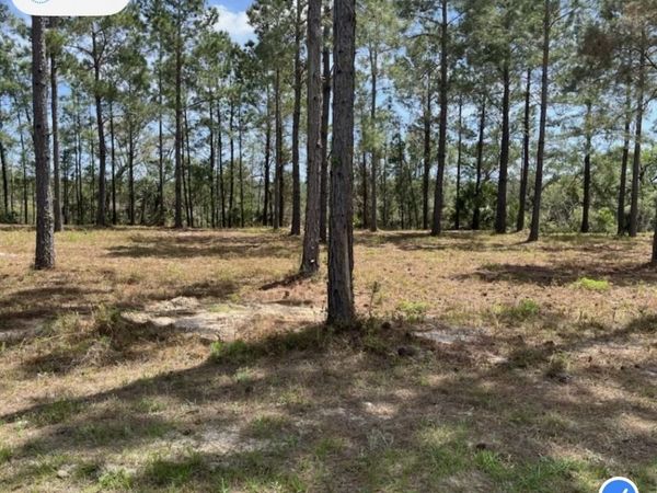 135 Beacon Pointe Parkway, Woodbine, GA 31569