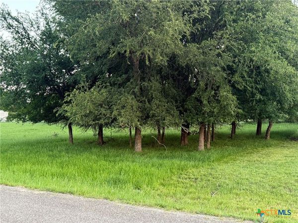 6 Blue Roan Drive , Morgans Point Resort, TX 78163