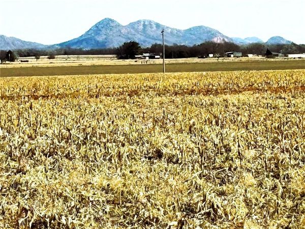20554 County Road 157, Unit 09, Blair, OK 73526