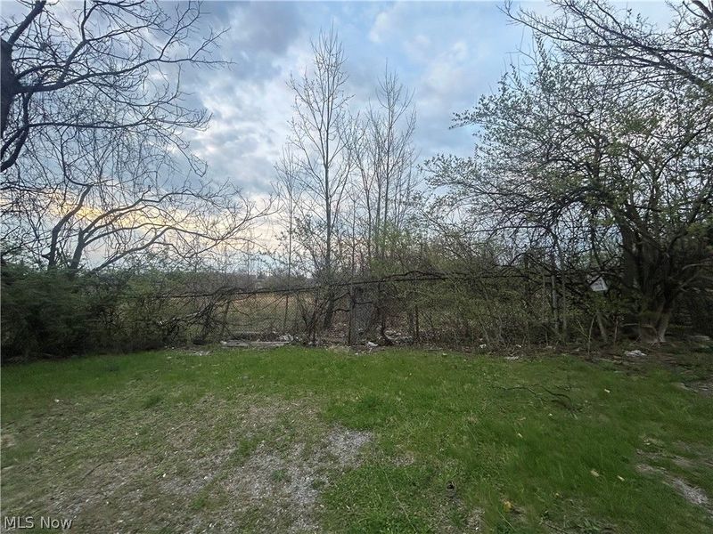 3826 E 78th Street, Cleveland, OH 44105 Photo 27