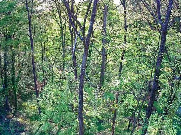 0 Walnut Street, LaFayette, GA 30728