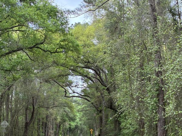 NA S County Hwy 183, Ponce De Leon, FL 32455