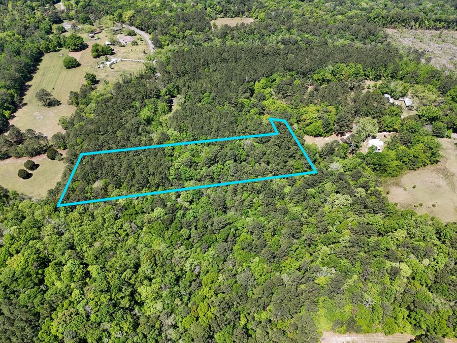Property Image 7