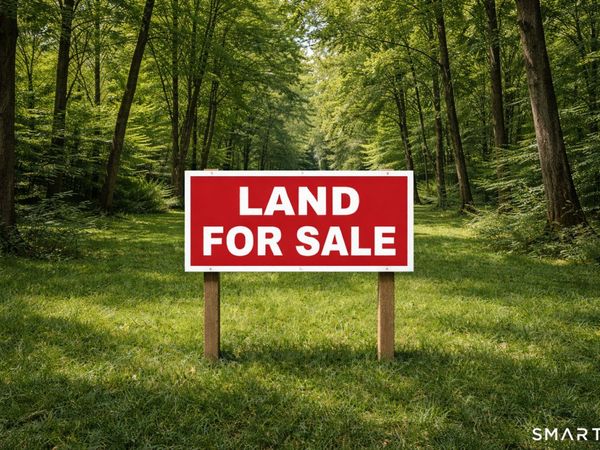 Webb , Naugatuck, CT 06770