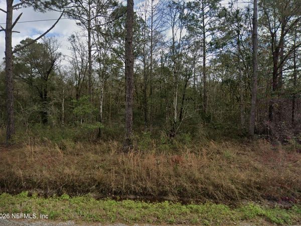 10230 NIKOLICH Avenue, Hastings, FL 32145