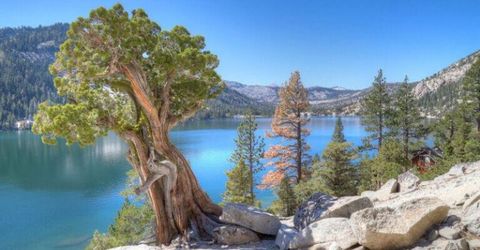 7834 Phillips Heights Avenue, Twin Bridges, CA 95735 Photo