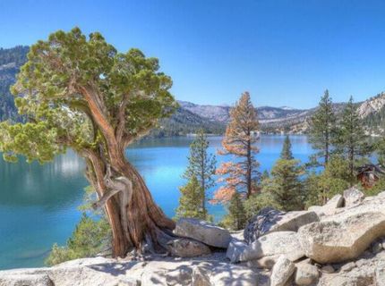 7834 Phillips Heights Avenue, Twin Bridges, CA 95735 Photo