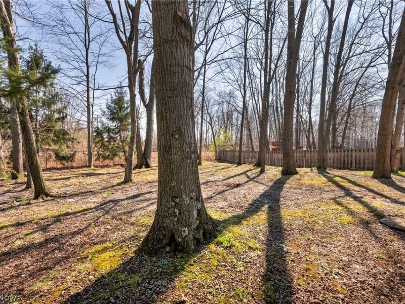 350 Nelmar Drive, Painesville Township, OH 44077 Photo 28