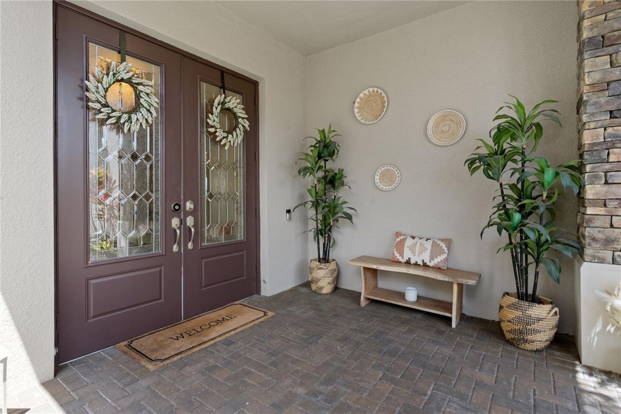 30351 Tristania Court, Wesley Chapel, FL 33543 Photo