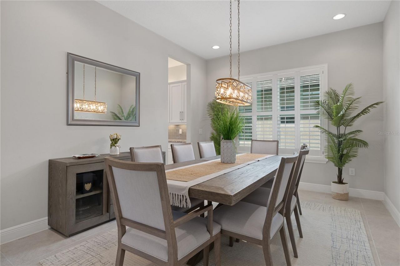 30351 Tristania Court, Wesley Chapel, FL 33543 Photo