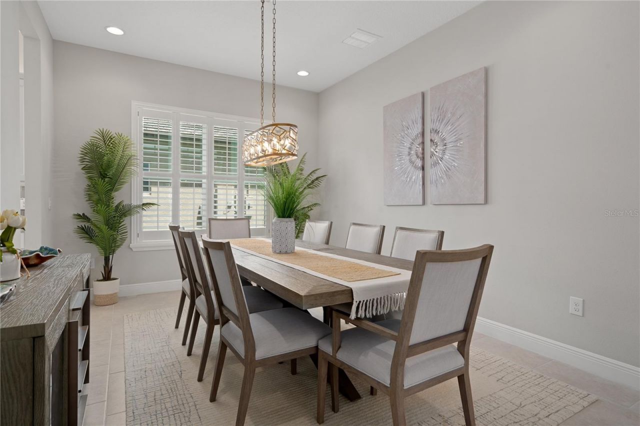 30351 Tristania Court, Wesley Chapel, FL 33543 Photo