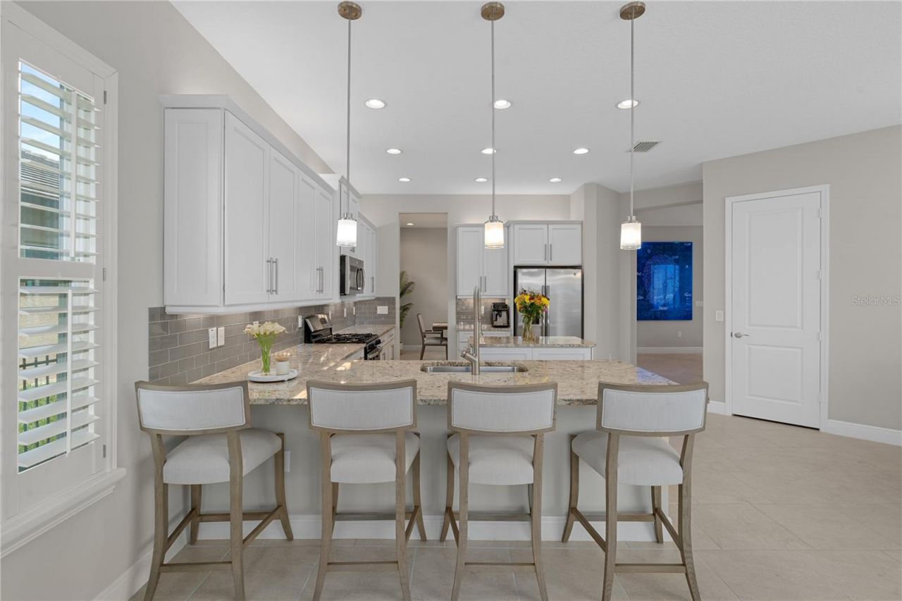 30351 Tristania Court, Wesley Chapel, FL 33543 Photo