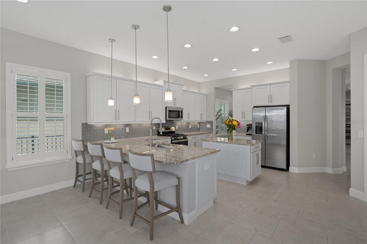 30351 Tristania Court, Wesley Chapel, FL 33543 Photo
