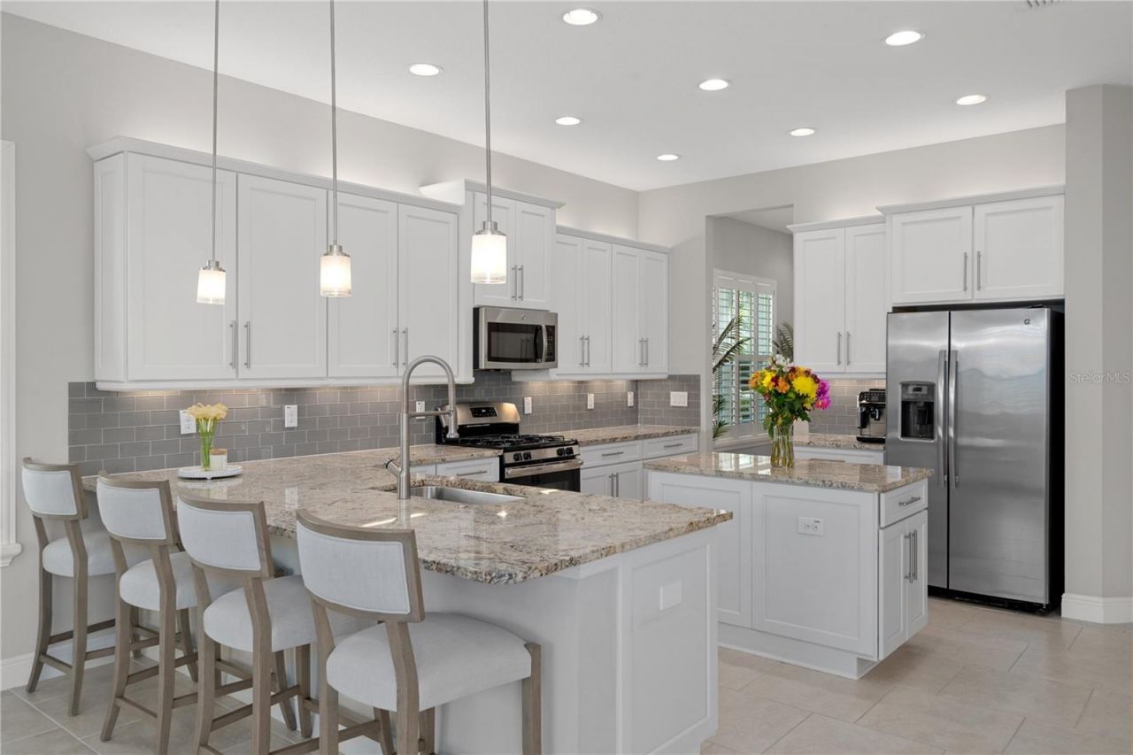 30351 Tristania Court, Wesley Chapel, FL 33543 Photo