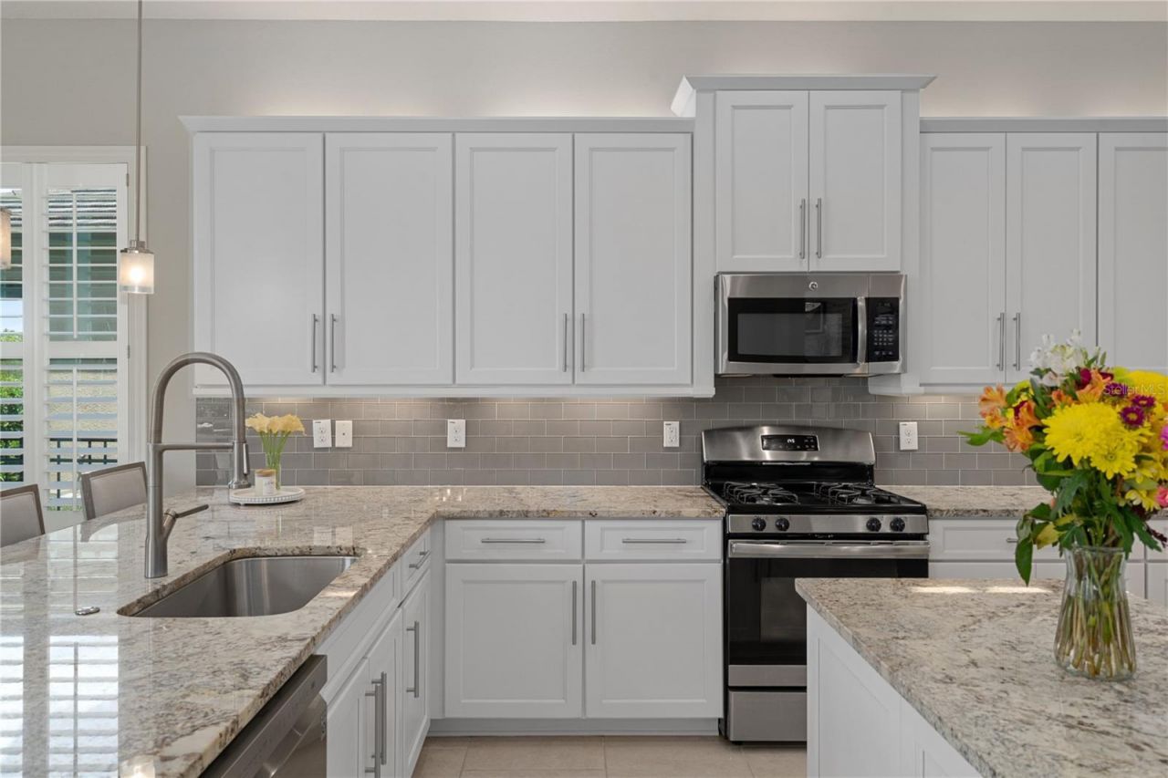 30351 Tristania Court, Wesley Chapel, FL 33543 Photo