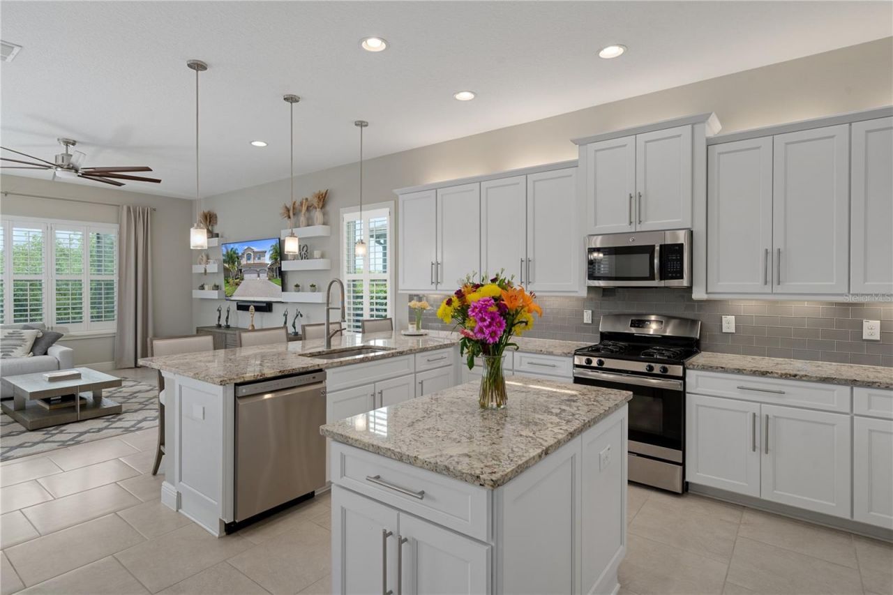 30351 Tristania Court, Wesley Chapel, FL 33543 Photo