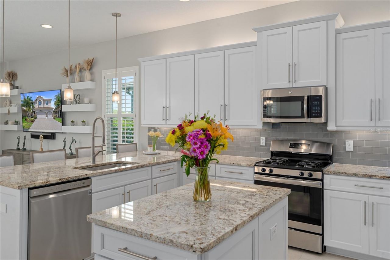 30351 Tristania Court, Wesley Chapel, FL 33543 Photo