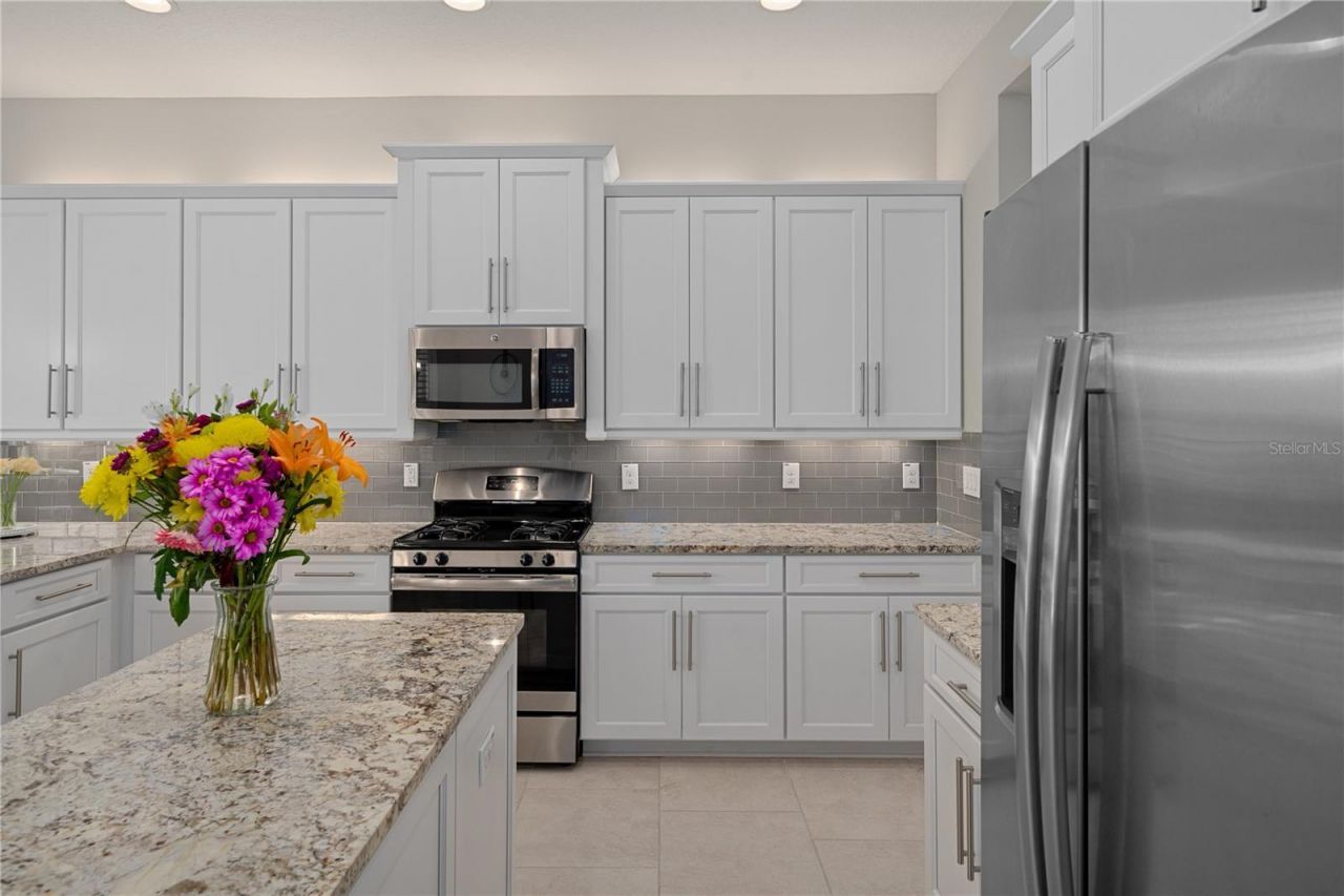30351 Tristania Court, Wesley Chapel, FL 33543 Photo