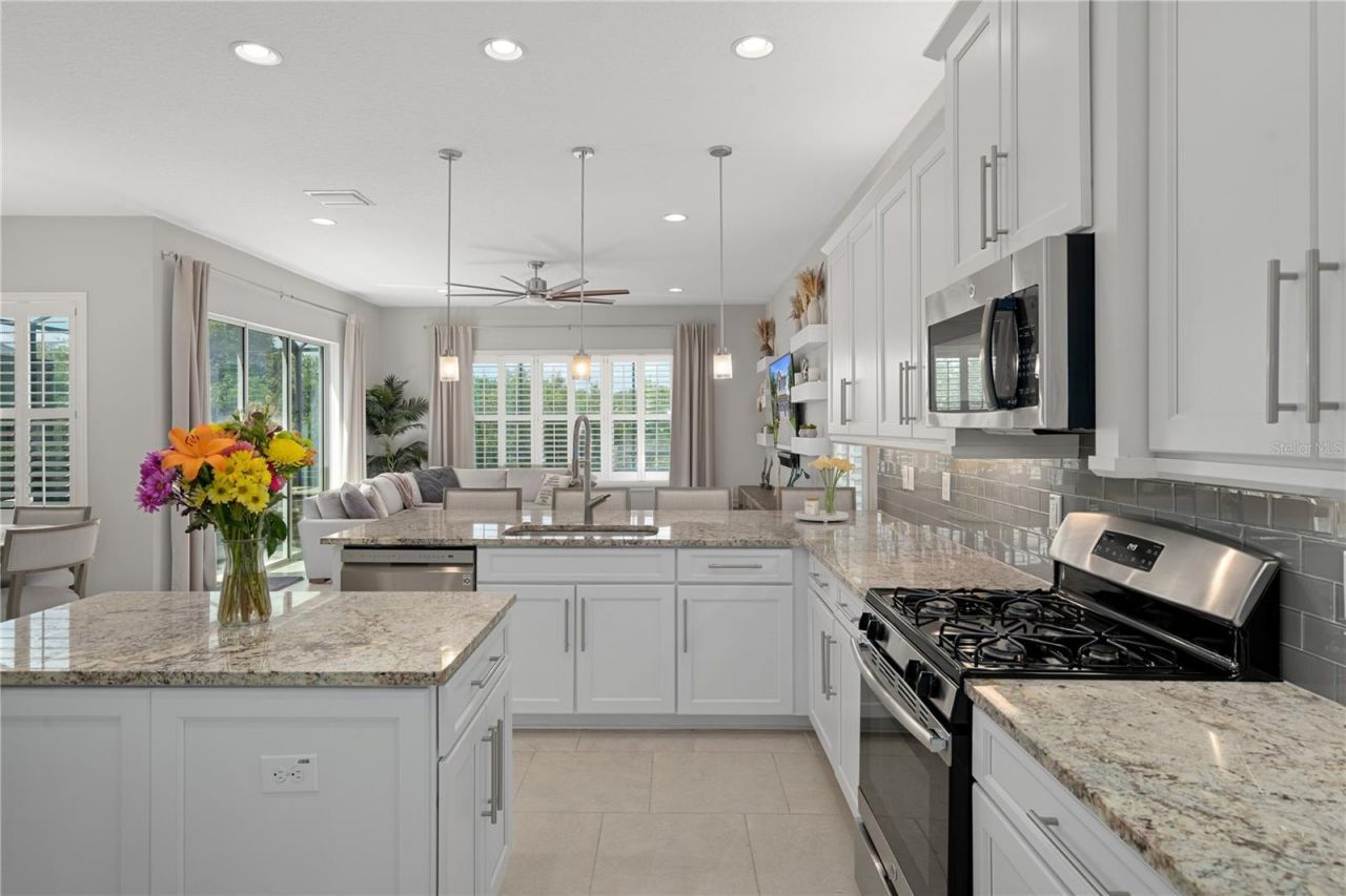 30351 Tristania Court, Wesley Chapel, FL 33543 Photo