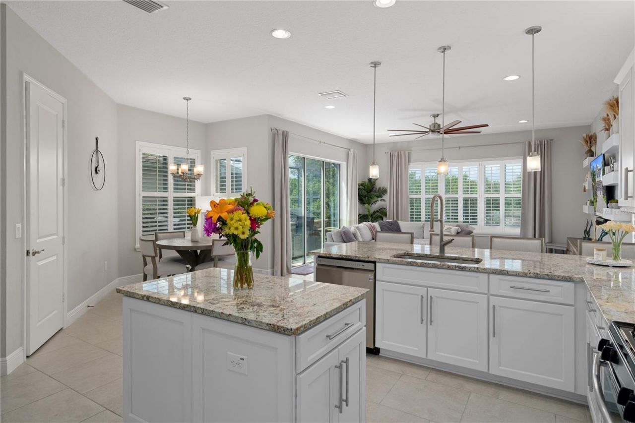 30351 Tristania Court, Wesley Chapel, FL 33543 Photo