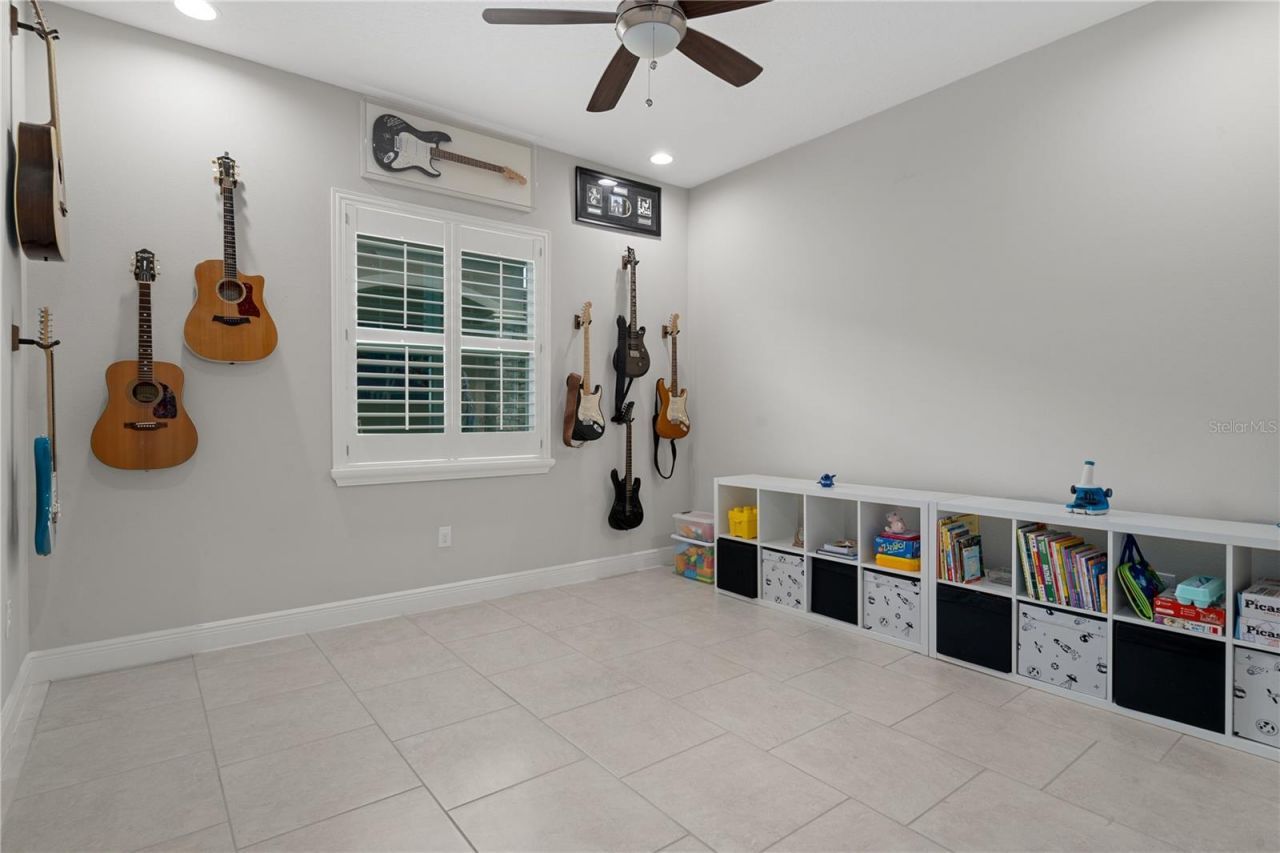 30351 Tristania Court, Wesley Chapel, FL 33543 Photo