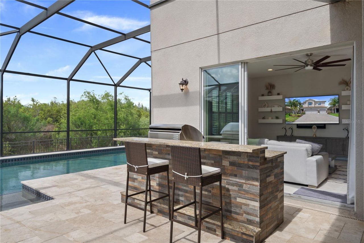 30351 Tristania Court, Wesley Chapel, FL 33543 Photo