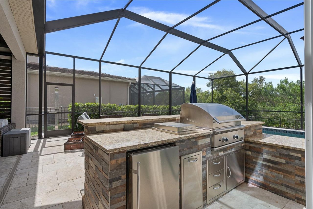 30351 Tristania Court, Wesley Chapel, FL 33543 Photo