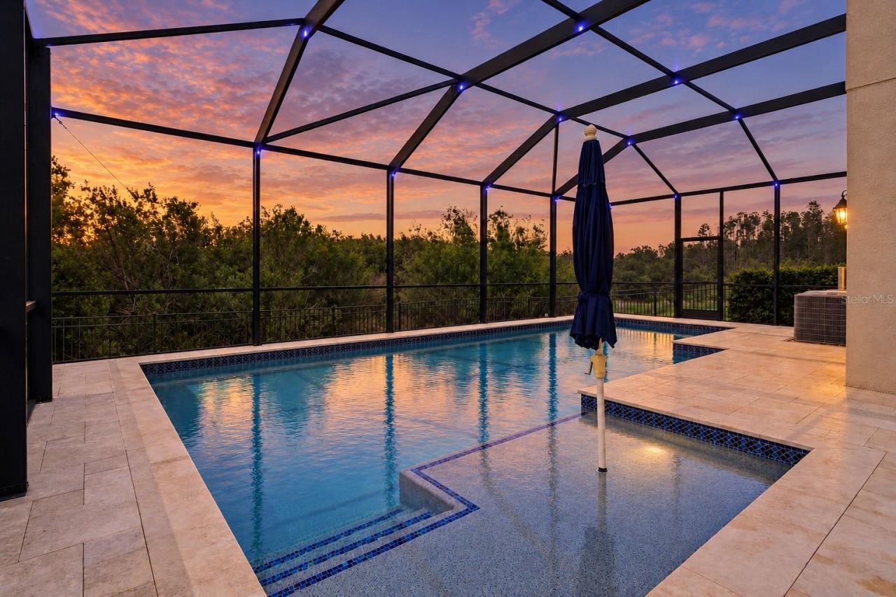 30351 Tristania Court, Wesley Chapel, FL 33543 Photo
