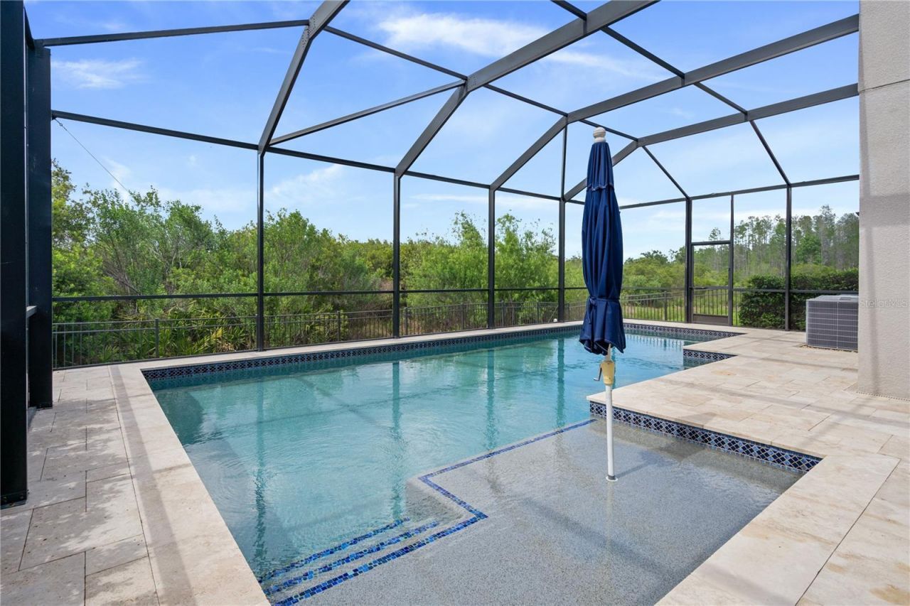 30351 Tristania Court, Wesley Chapel, FL 33543 Photo