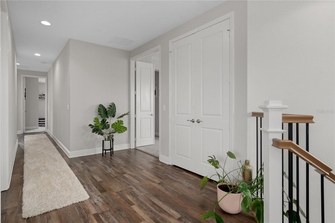 30351 Tristania Court, Wesley Chapel, FL 33543 Photo