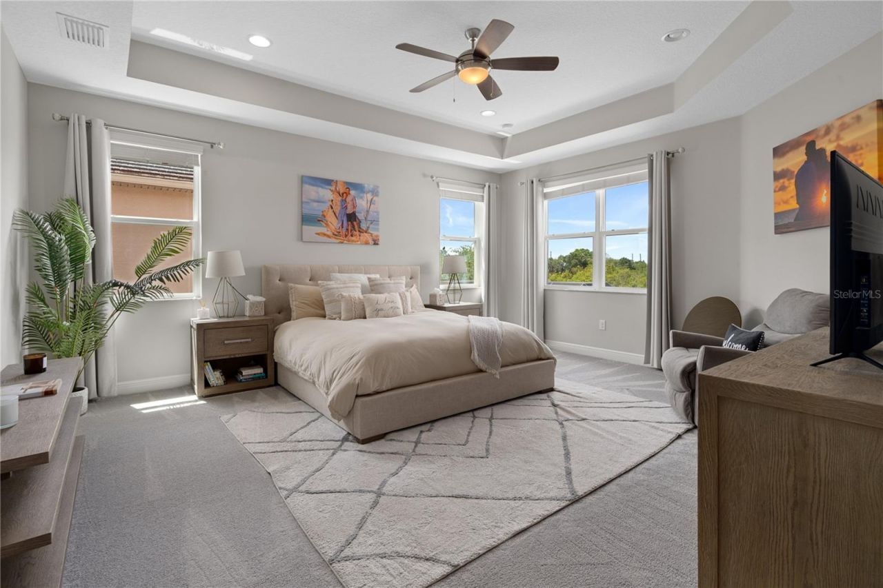 30351 Tristania Court, Wesley Chapel, FL 33543 Photo