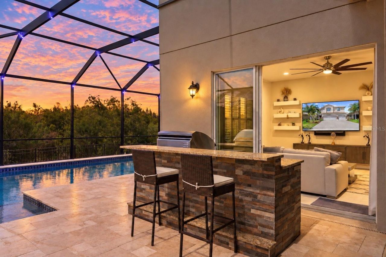30351 Tristania Court, Wesley Chapel, FL 33543 Photo