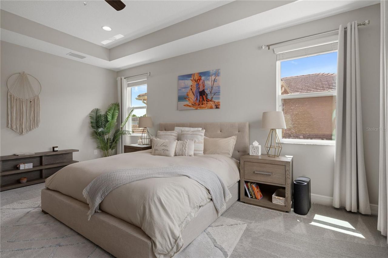 30351 Tristania Court, Wesley Chapel, FL 33543 Photo