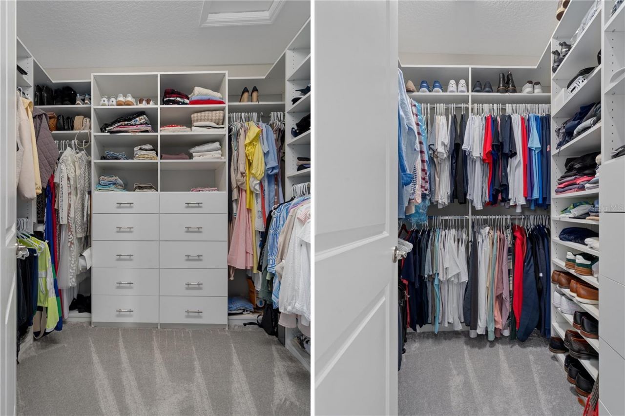 30351 Tristania Court, Wesley Chapel, FL 33543 Photo