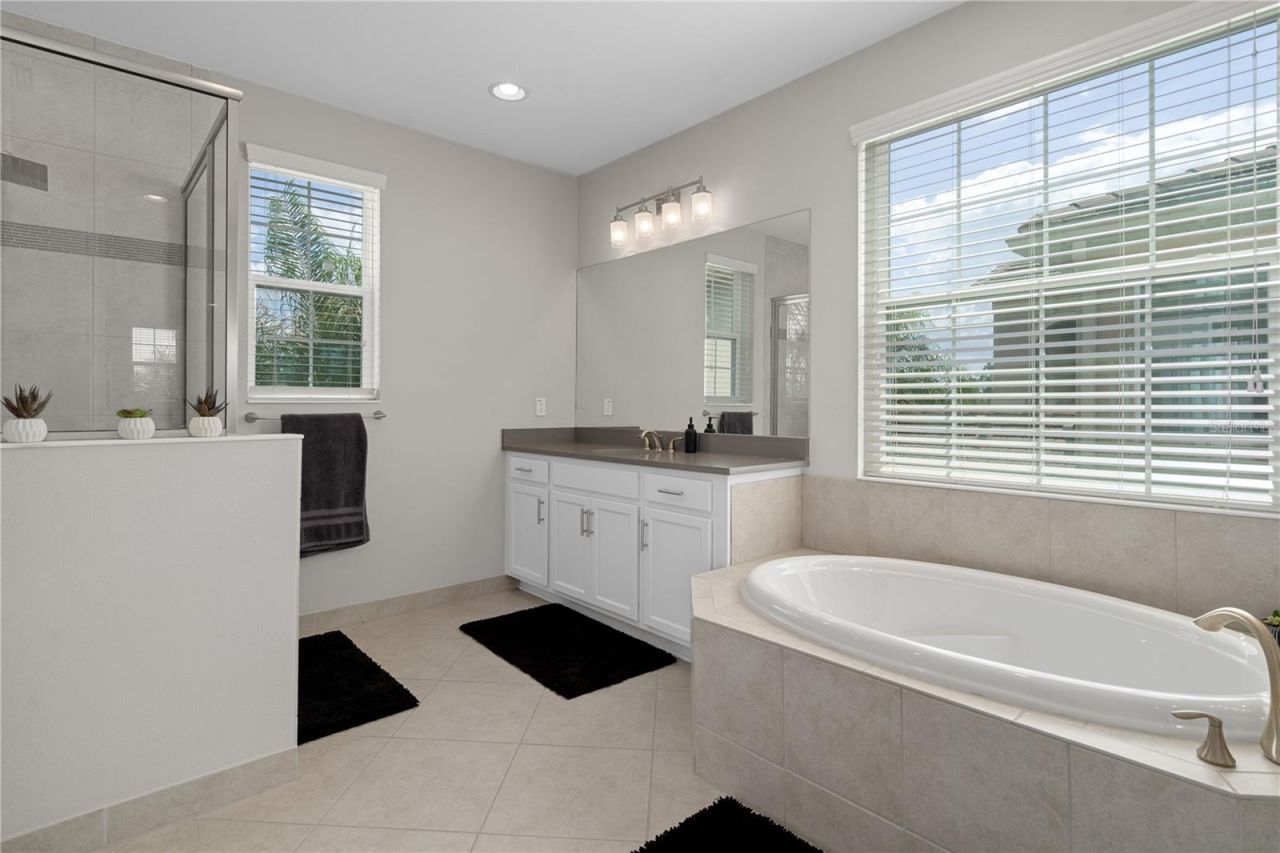 30351 Tristania Court, Wesley Chapel, FL 33543 Photo