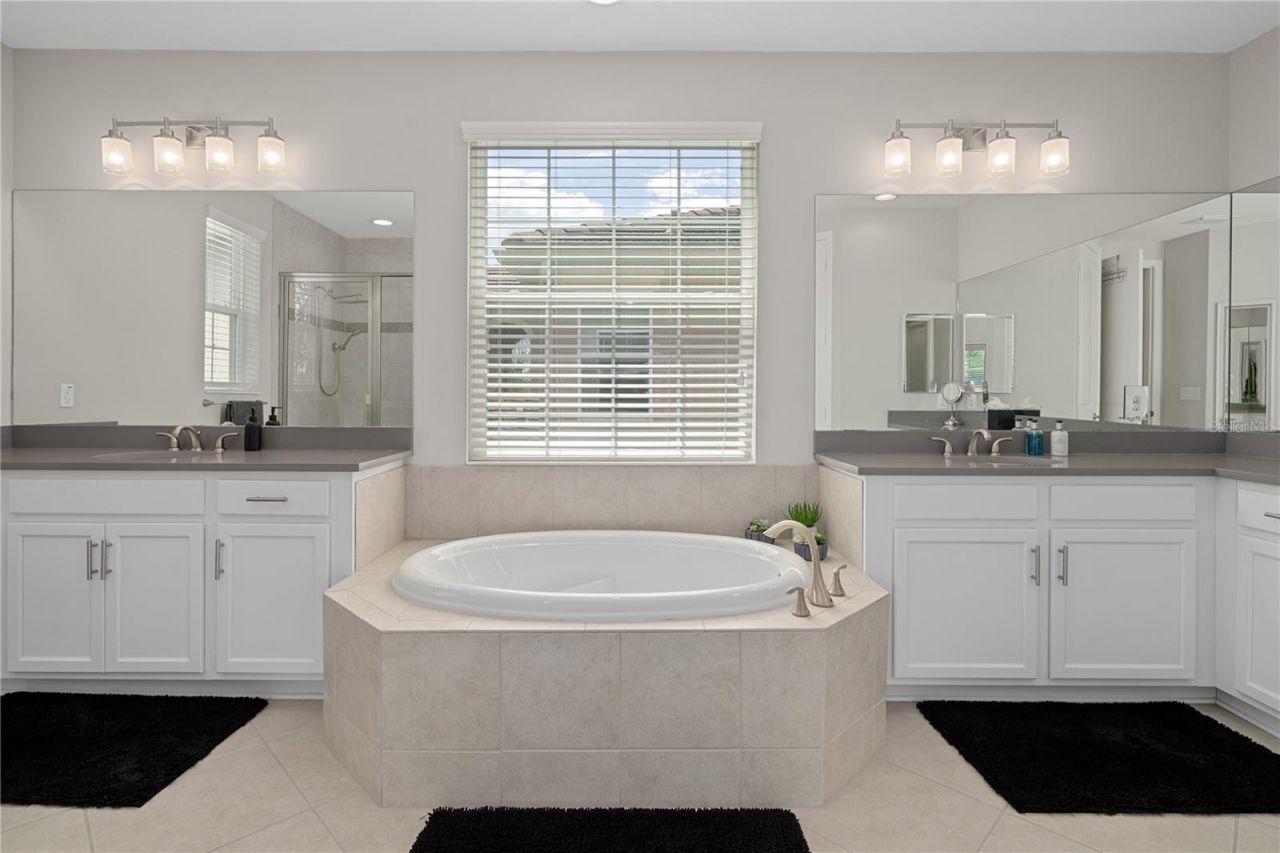 30351 Tristania Court, Wesley Chapel, FL 33543 Photo