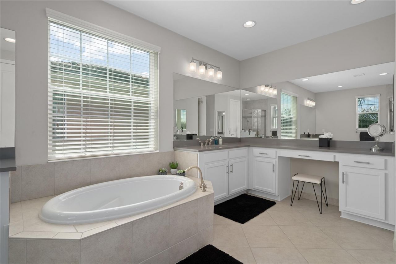 30351 Tristania Court, Wesley Chapel, FL 33543 Photo