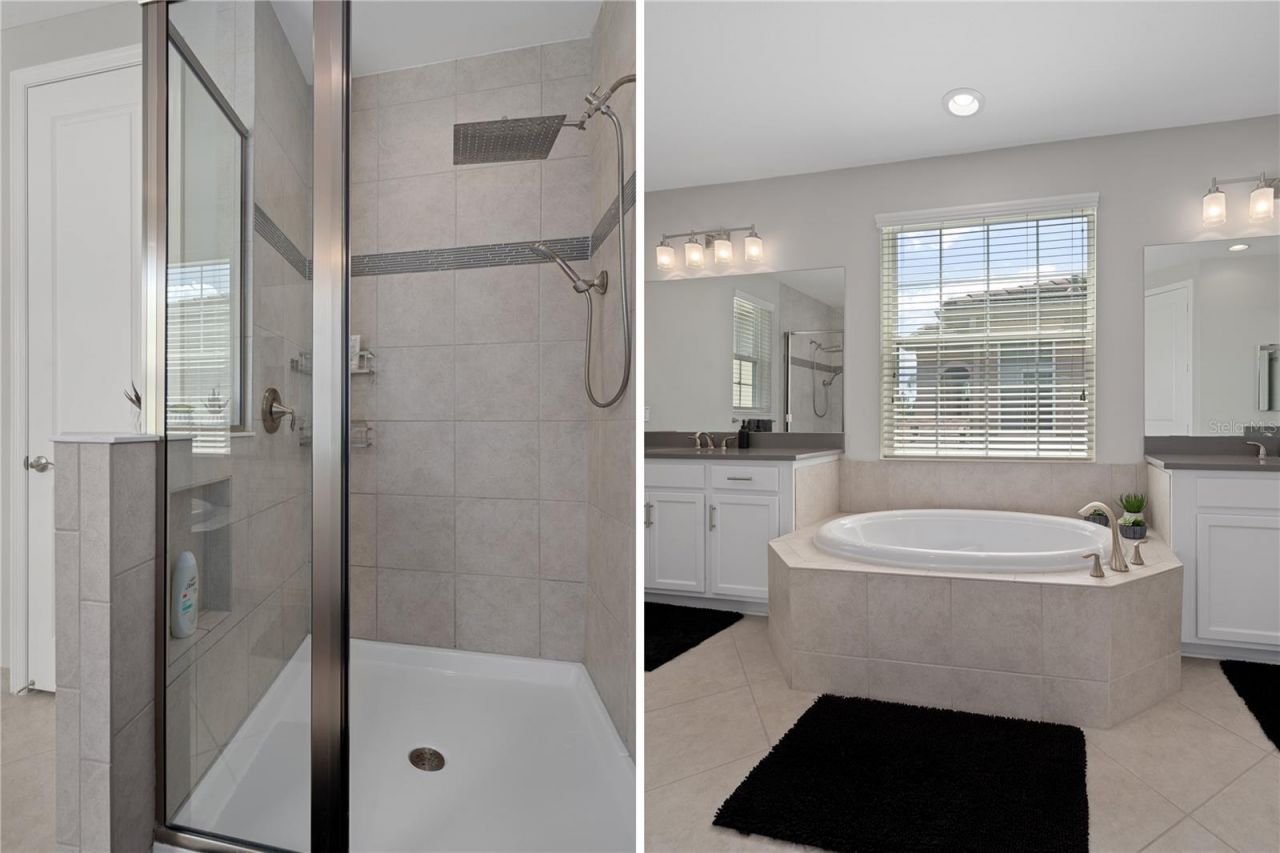 30351 Tristania Court, Wesley Chapel, FL 33543 Photo